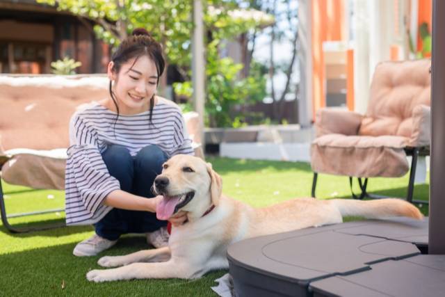 沖縄ホテル 愛犬と泊まれる部屋のあるペット同伴可能なホテル6選